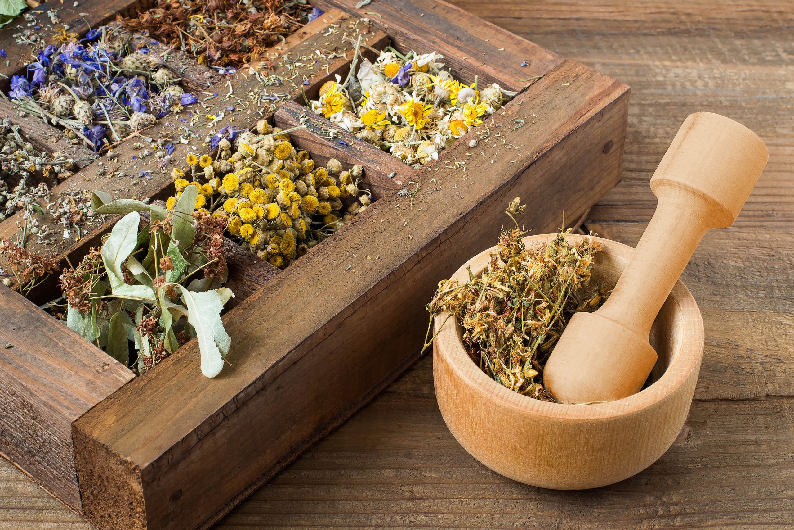 phytotherapie pharmacie guiot