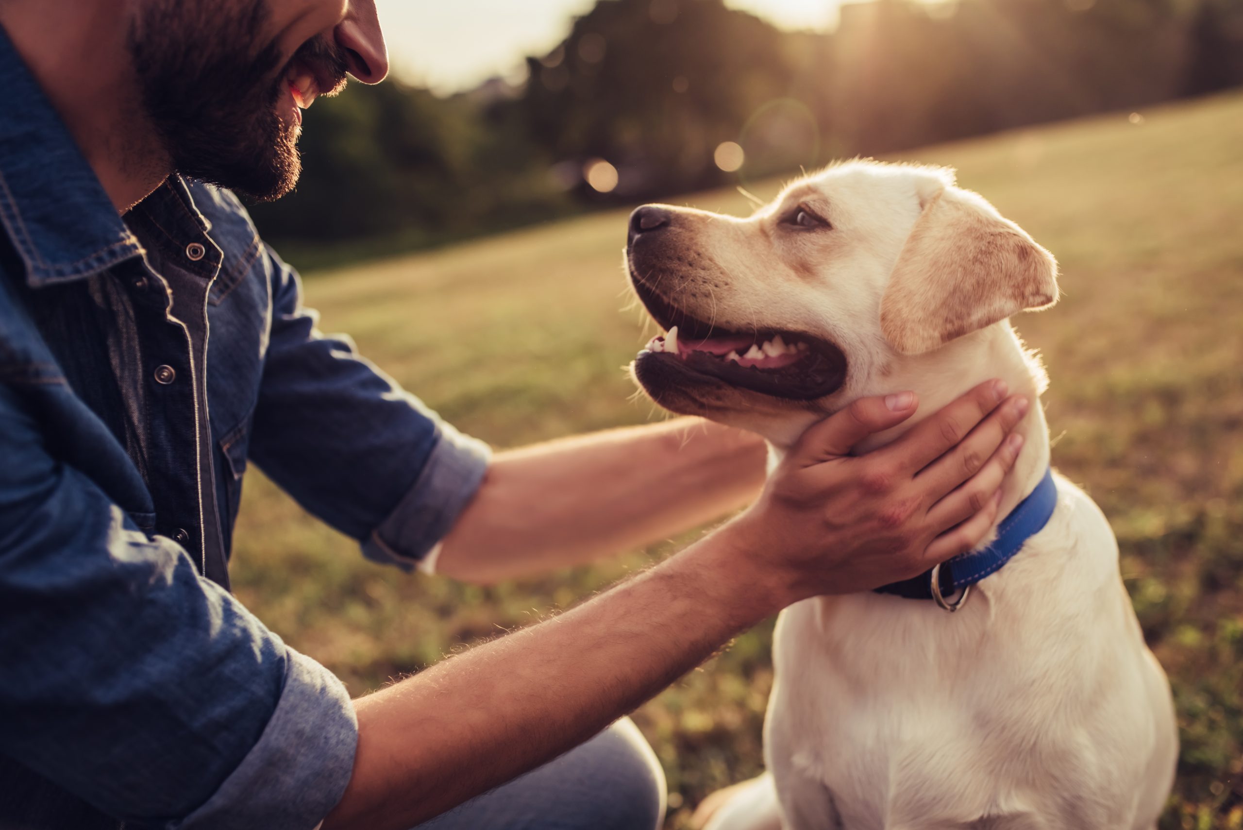 produits veterinaires pharmacie guiot